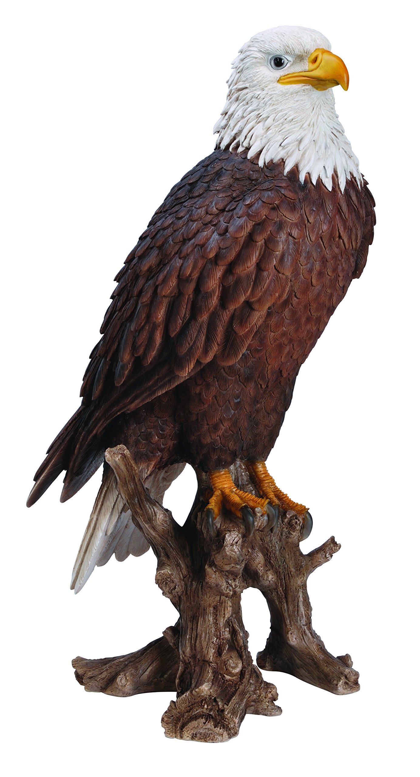 Vivid Arts XRL-BLDE-B American Bald Eagle Resin Ornament