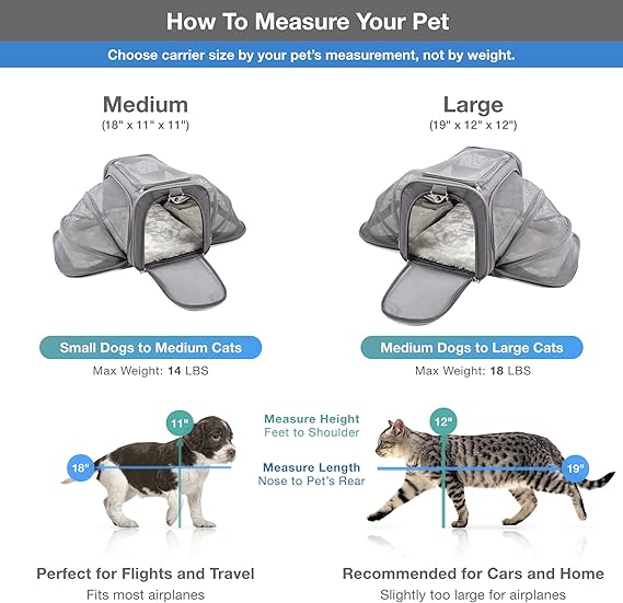 flying with a dog frontier