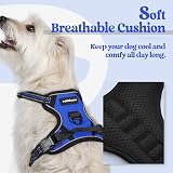 rabbitgoo Dog Harness Small No Pull Adjustable Reflective Blue XS view 3