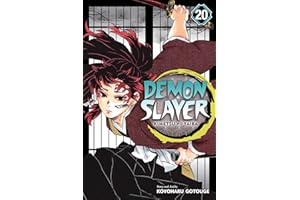 Demon Slayer: Kimetsu no Yaiba, Vol. 20