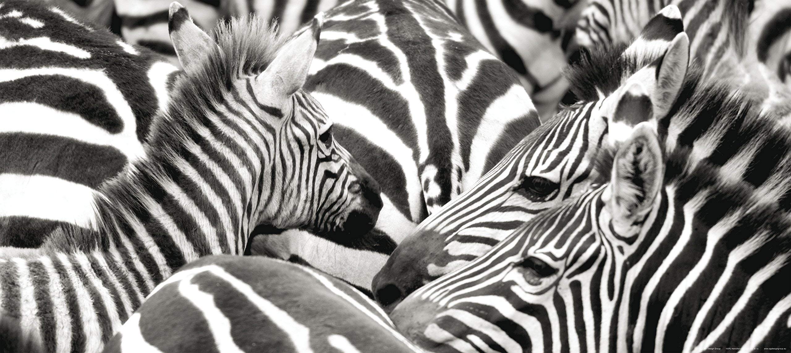 AG Design Zebras Photo Mural Wallpaper, Paper, Multi-Colour, 0.1 x 202 x 90 cm