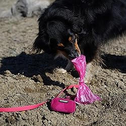 Best Pet Supplies Dog Poop Bags (150 Bags) for
