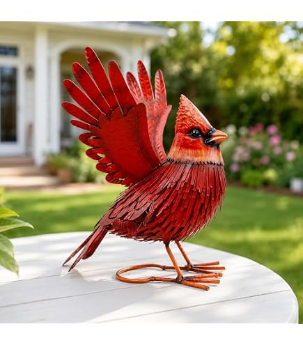 Amazon.com: Red Carpet Studios Cardinal 12 x 39 Inch Metal and