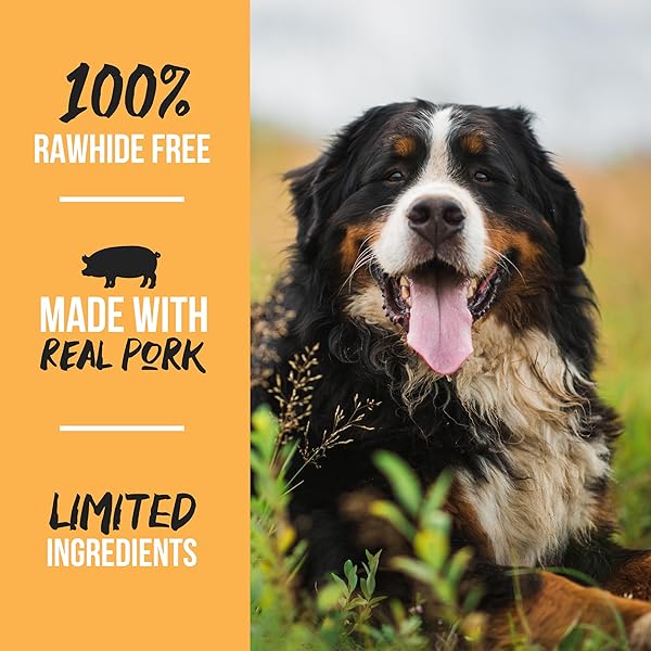 SCOTT PET GRILLERZ PIG EARS FOR DOGS, 12 COUNT, NATURAL DOG CHEWS, SINGLE INGREDIENT, HIGH PROTEIN, EASY TO DIGEST, SUPPORTS HEALTHY TEETH, FOR ALL LIFE STAGES