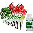 AeroGarden Salsa Garden Seed Pod Kit, 6