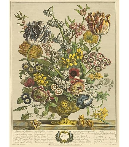 Amazon.com: Robert Furber - Twelve Months of Flowers 1730/August