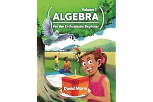 Algebra: For the Enthusiastic Beginner, Volume 1
