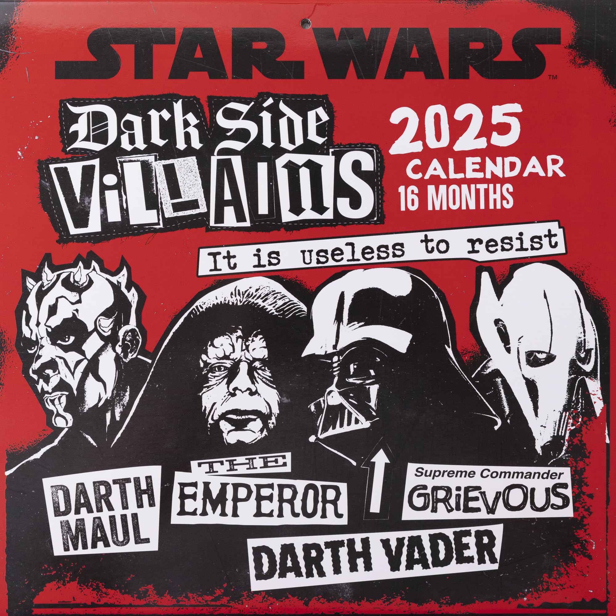 Pyramid International Star Wars Villains 2025 Calendar – 16-Month Planner, Iconic Dark Side Characters, Large Grid, Premium Quality for Star Wars Fans & Decor
