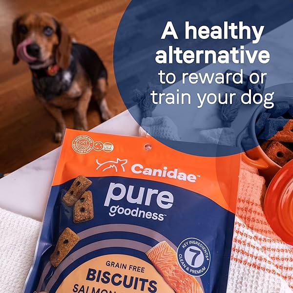CANIDAE PURE DOG TREAT BISCUITS WITH SALMON & SWEET POTATO, 11 OZ, GRAIN FREE