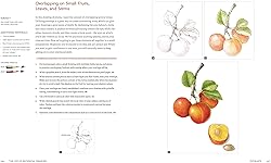 The Joy of Botanical Drawing: A Step-by-Step Guide