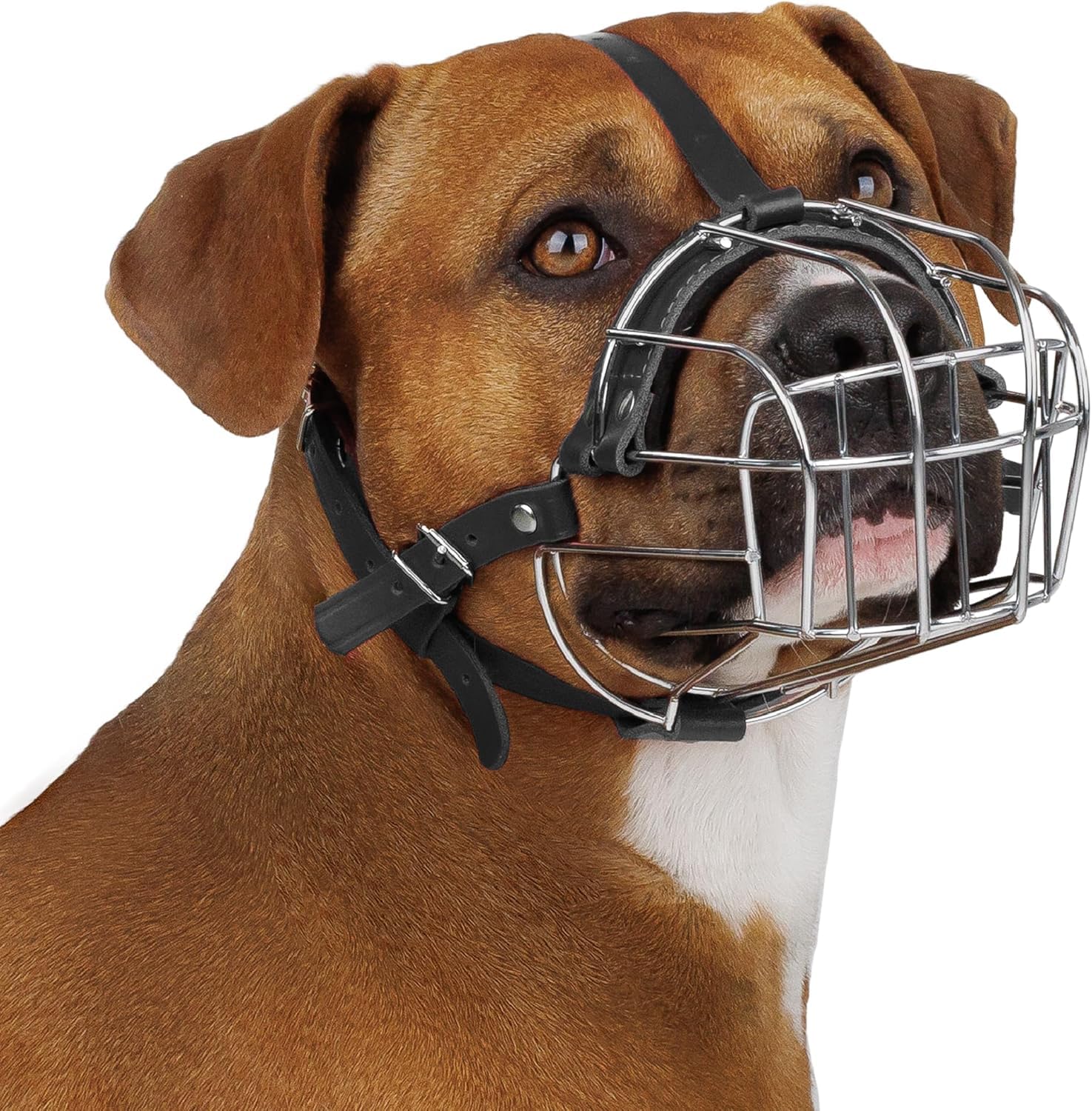 BRONZEDOG Dog Muzzle Wire Basket Metal Mask for Medium Large Dogs (Size 4: Pitbull & Amstaff)