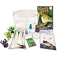 Tadpole to Frog Starter Kit - Includes Certificate for 2 Live Tadpoles - All-in-One Bundle with Habitat, Food, Instructions, and Book - Ideal for Education and Home Observation