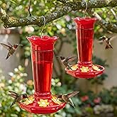 Gbekery 10 OZ Glass Hummingbird Feeders for Outdoors Hanging - Red 2 Pack, Ant & Bee Proof and 6 Feeding Ports, Garden Yard D
