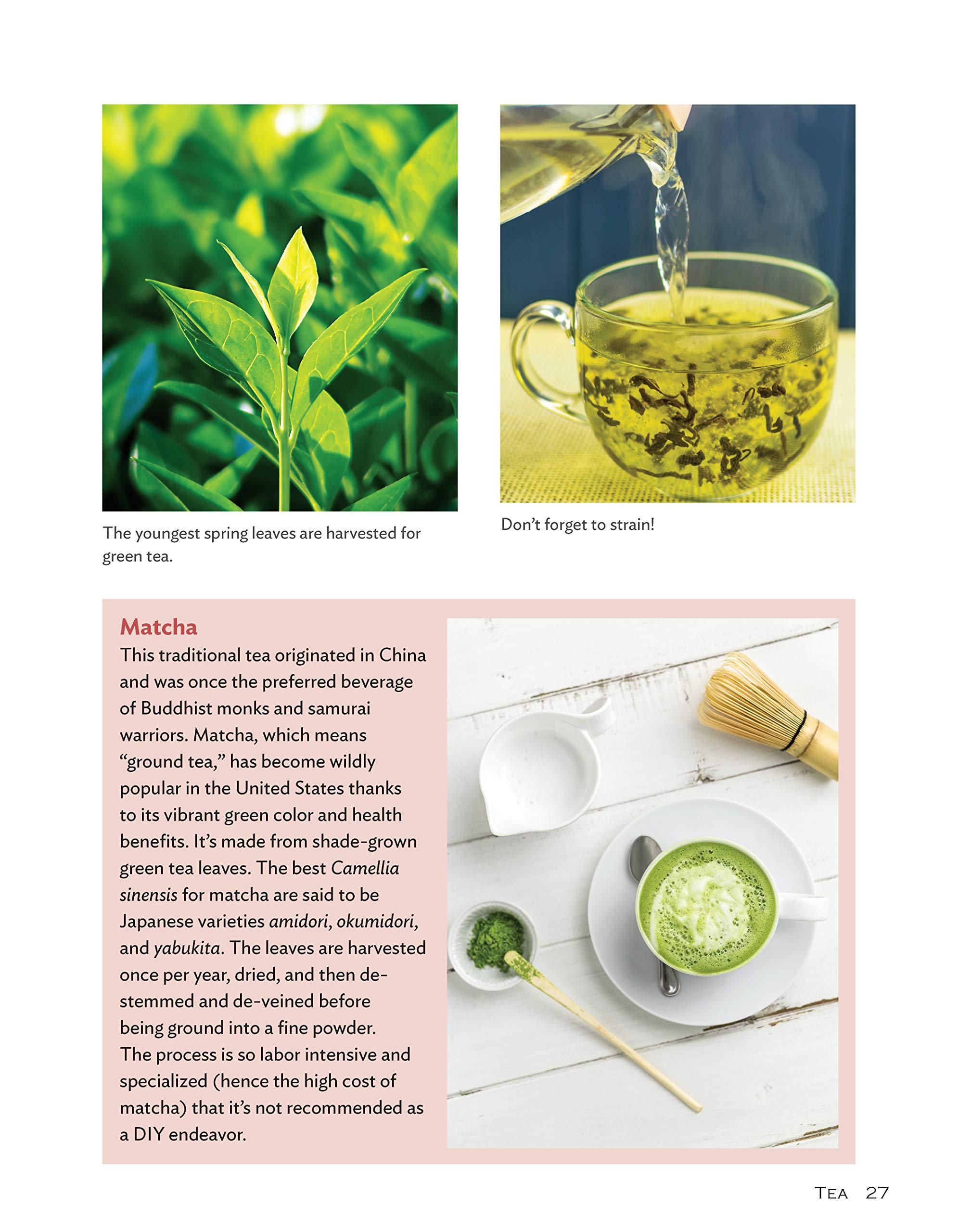 Growing Your Own Tea Garden: The Guide to Growing and Harvesting Flavorful Teas in Your Backyard (CompanionHouse Books) Create Your Own Blends to Manage Stress, Boost Immunity, Soothe Headaches & More Apr 9, 2019