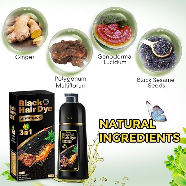 HAIR DYE SHAMPOO 3 IN 1, HERBAL SHAMPOO HAIR DYE FOR WOMEN MEN, GREY COVERAGE SHAMPOO 500ML (BLACK)