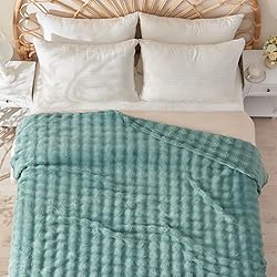 NEWCOSPLAY Queen Blanket for Couch Light Teal Super