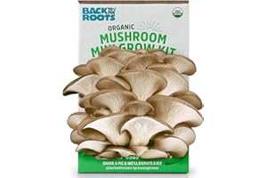 Back to the Roots Organic Mini Mushroom Grow Kit, Harvest Gourmet Oyster Mushrooms In 10 days, Top Gardening Gift, Holiday Gift, & Unique Gift