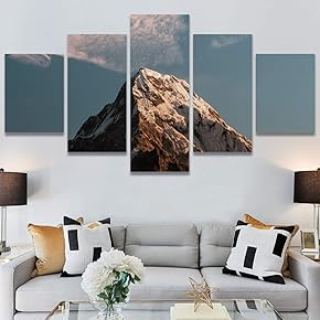 SIGNWIN 5 Panel Canvas Wall Art Modern Art...