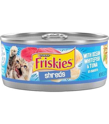 Amazon.com: Purina Friskies Shreds With Chicken in Wet Cat Food Gravy -  (Pack of 24) 5.5 oz. Cans : Pet Supplies