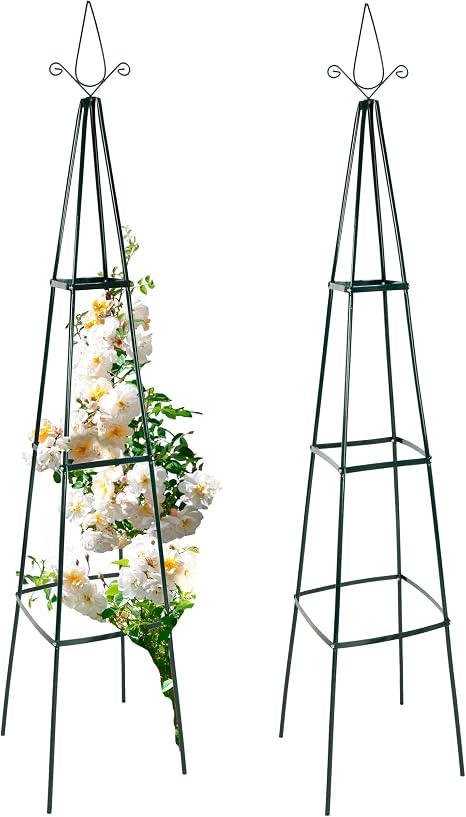 Set de 2 esbeltas pirámides para rosas, 40 x 40 x 200 cm: anaterra ...