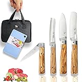 SENBON 440A stainless steel Gift wrapped 4 piece