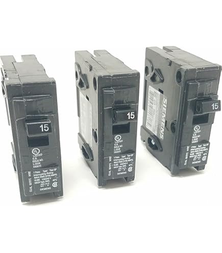 SN Series 100 Amp 12-Space 24-Circuit Outdoor Main India