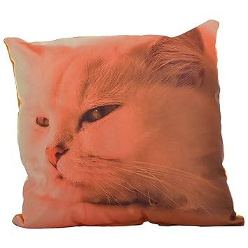 Twisha Cat Printed Pillow 12 X 12 X 4 Inch