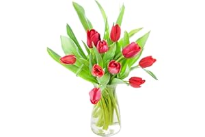 KaBloom PRIME NEXT DAY DELIVERY - Fall Collection - Bouquet of Fresh Red Tulips with Vase (Farm-Fresh).Gift for Birthday, Get Well, Thank You, Valentine, Mother’s Day Fresh Flowers