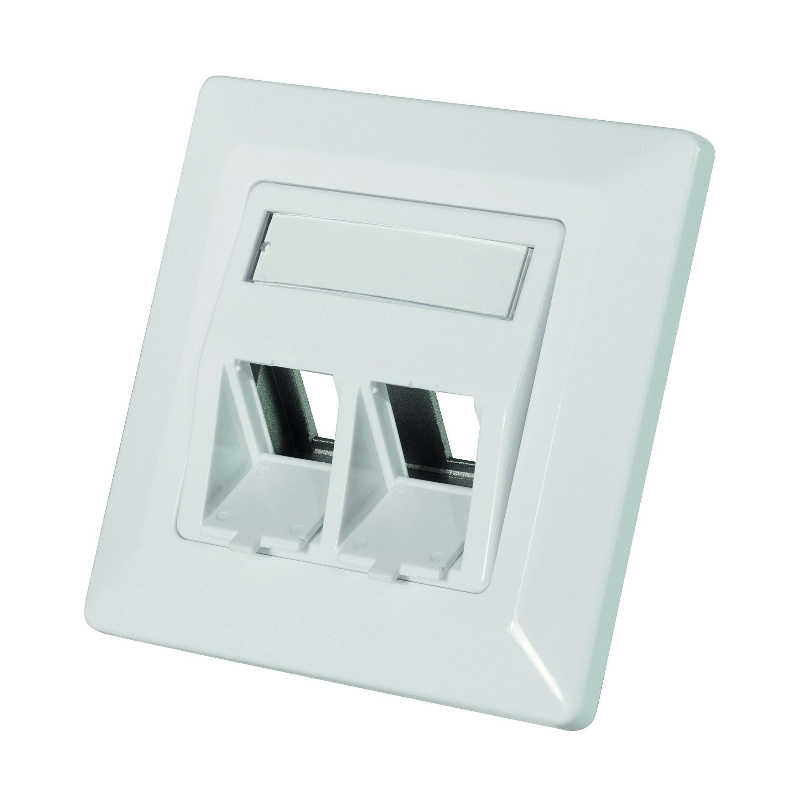 Logilink Professional Keystone NK4020 Flush-Mounted Box for 2 Keystone Sockets/Modules with 45° Outlet — image 1