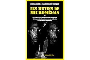 Les mutins de Micromégas: Les tribulations existentielles et picaresques de deux anticonformistes surfeurs de Contis à la rec