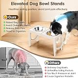 Aystkniet Raised Dog Bowls with Stand 5 Heights 8-35cm, 2 Stainless Bowls view 4