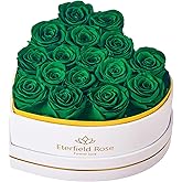 Eterfield 16 Forever Flowers in Heart Shape Box, Preserved Roses That Last a Year Preserved Flowers Birthday Gifts for Her Mom Women Wife Anniversary Valentines Day Mothers Day Christmas, Green