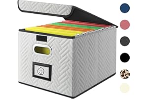 NEWFOM File Organizer Box - Collapsible File Storage Organizer Box with Lid and Plastic Slide, Portable Hanging Document Filing System Box for Home Office Cabinet Hand Embroidery File Folders box, White