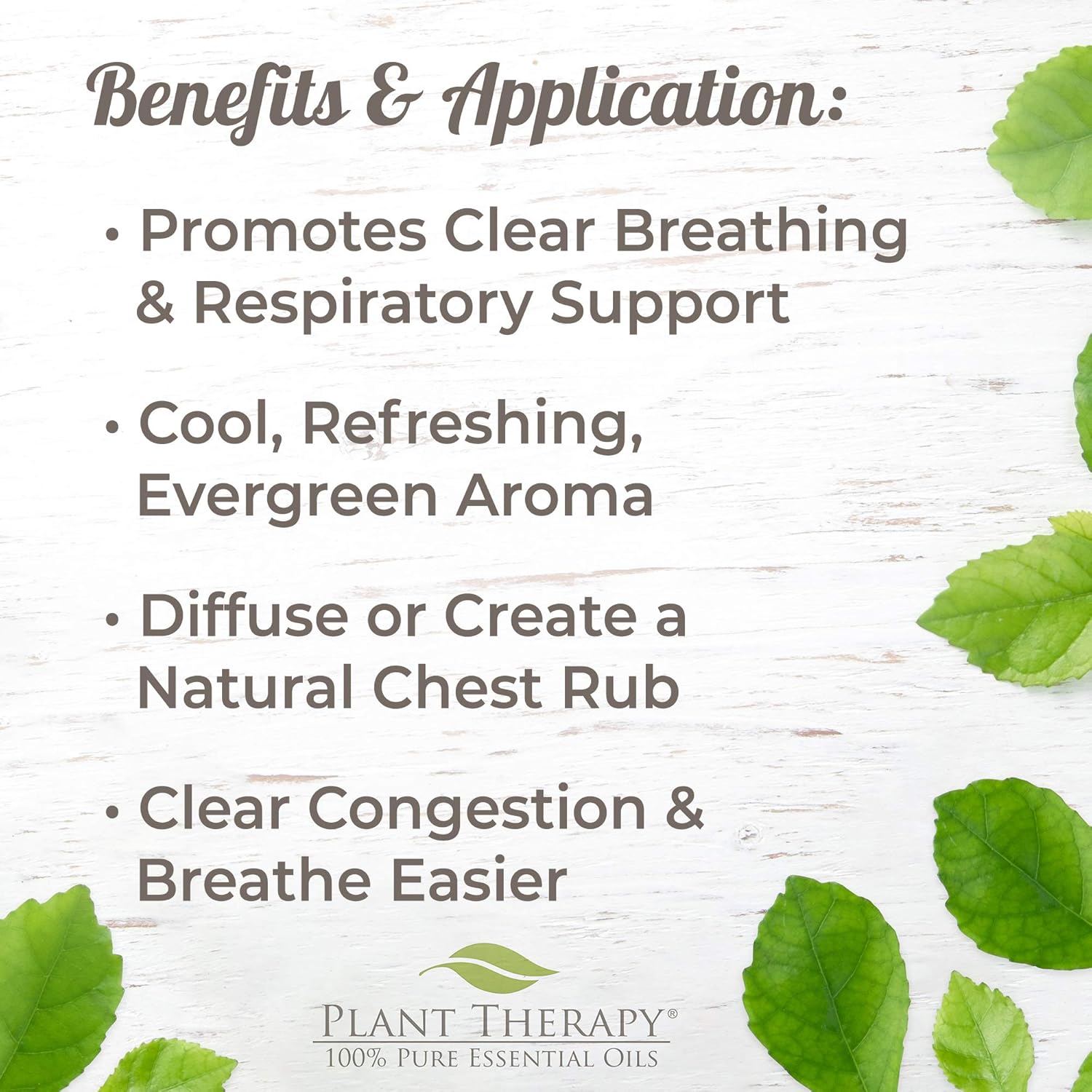 Plant Therapy Respir Aid Essential Oil - Sinus, Airway and Congestion Clearing Synergy Blend 100% Pure, Pre-Diluted Roll-On, Natural Aromatherapy, Therapeutic Grade 10 mL (1/3 oz): Beauty