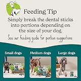 Forthglade Natural Dog Dental Sticks 4 x 185g Plant Based Grain Free view 5