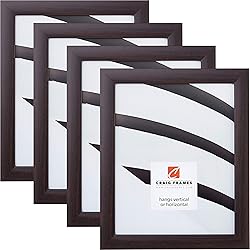 Craig Frames 23247778 16 x 20 Inch Picture