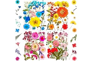 MIKIYA 72Pcs Pressed Dried Flowers for Resin Molds, Real Natural Bulk Dry Floral Leave for DIY Art Crafts, Epoxy Jewelry, Candle, Soap Making, Nails Decors Gifts