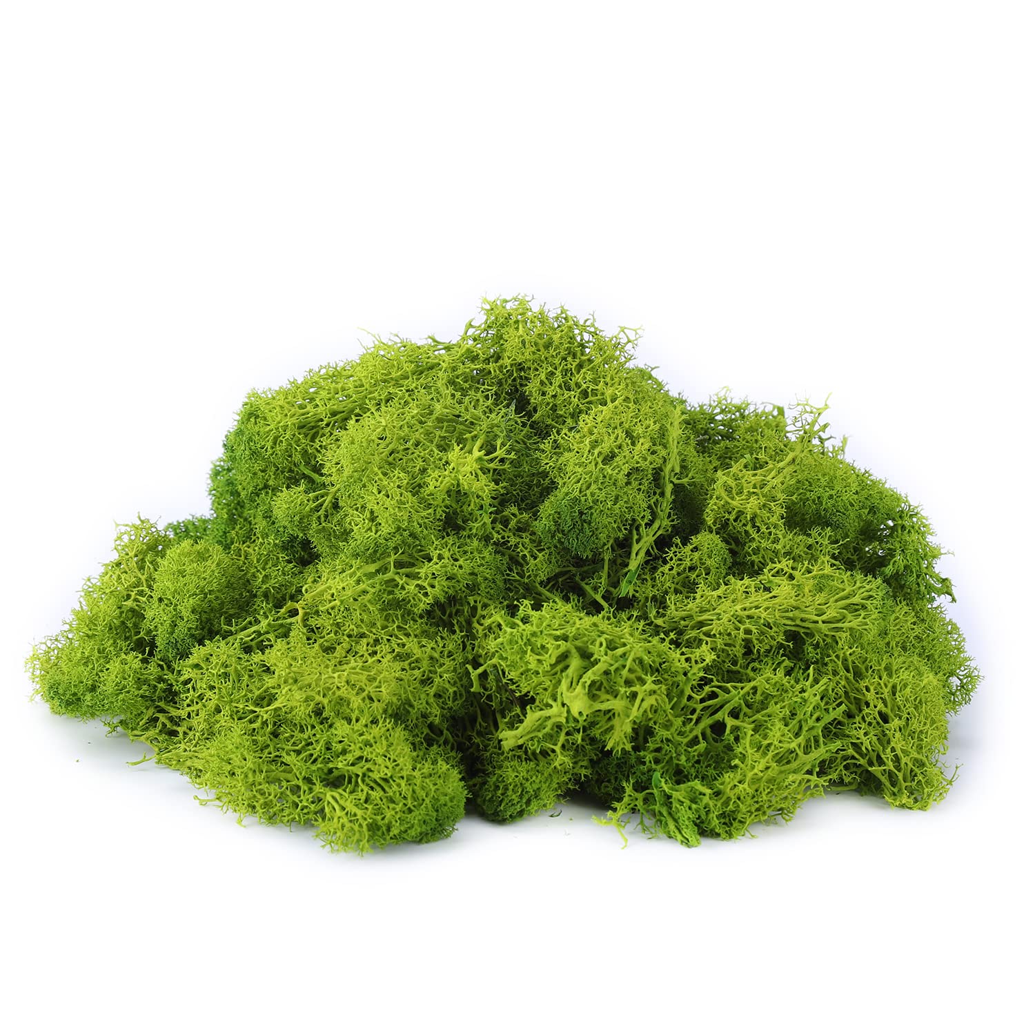 IHKFILAN Reindeer Moss - 100G Real Preserved Natural Moss for Crafts & Decoration, Model Making (Lemon Green, 3.5OZ)
