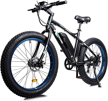 electric assist fat tire bike