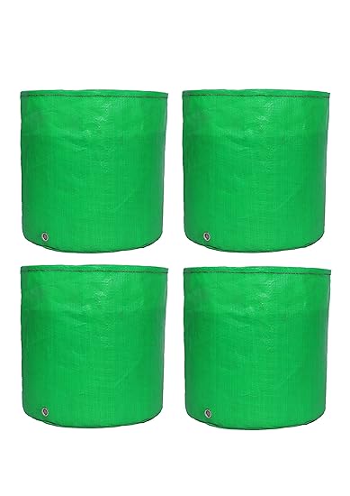 Banana Acid Green, HDPE Grow Bag (12