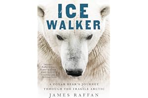 Ice Walker: A Polar Bear's Journey through the Fragile Arctic