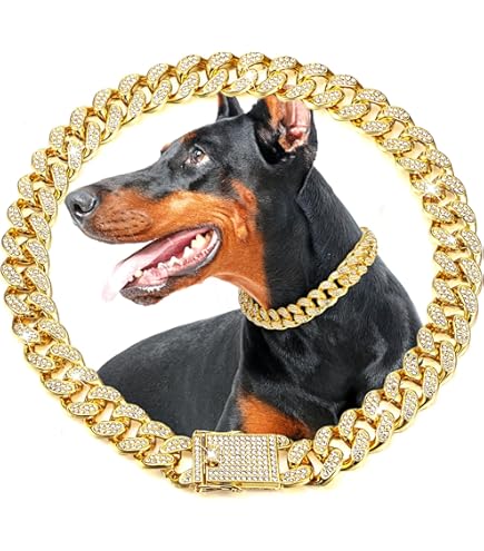 Amazon.com : BAOBOTE Gold Chain Dog Collar with Secure Snap Buckle