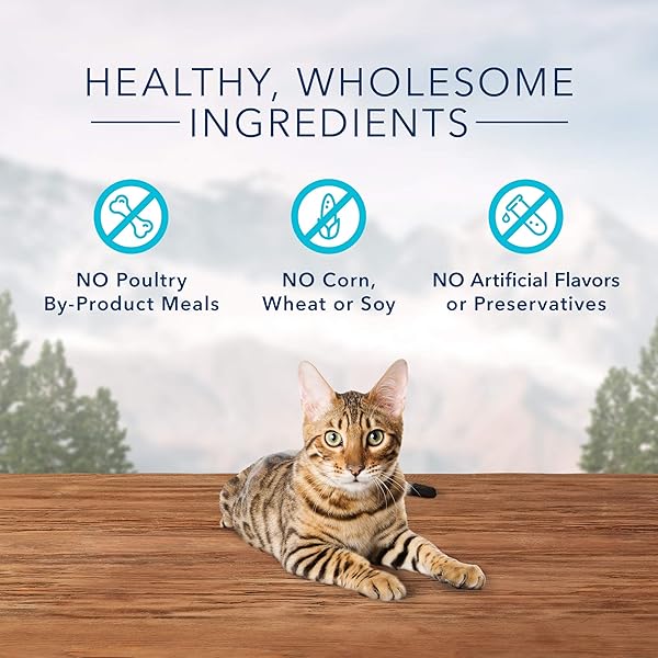 BLUE BUFFALO WILDERNESS HIGH PROTEIN CRUNCHY CAT TREATS, MADE WITH NATURAL INGREDIENTS, TASTY CHICKEN, 2-OZ BAG (PACK OF 12)