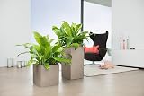 Lechuza Canto Stone 40 Low Sand Beige Plant Cube - Stylish & Functional view 6