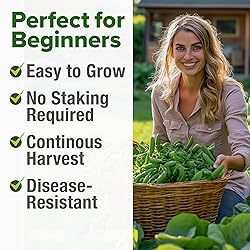 HOME GROWN - Snap Pea Seeds for Planting