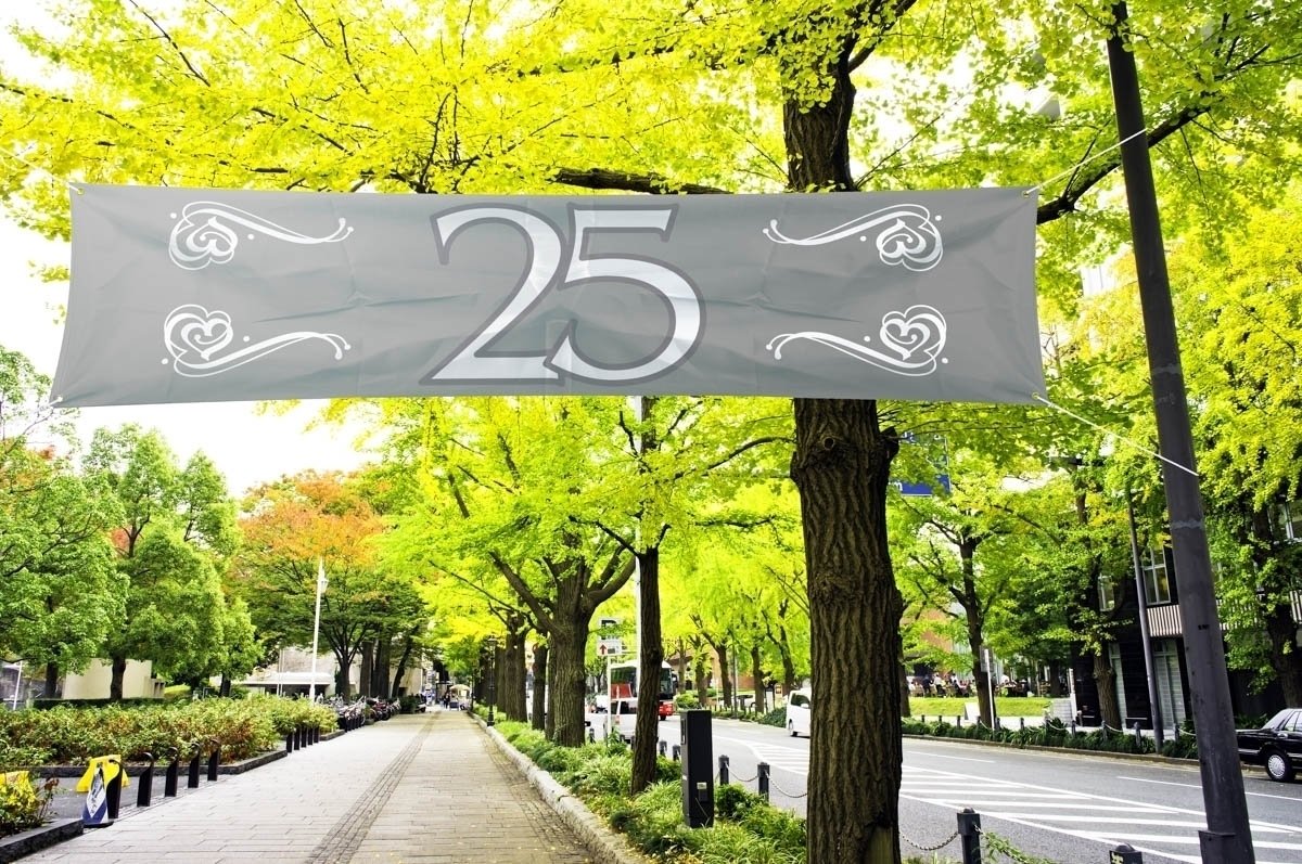 Folat 21482 25th Birthday/Anniversary Banner Silver-180x40 cm, Silver