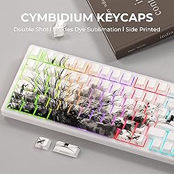 XVX Orchid Shine Through Keycaps, Double Shot PBT