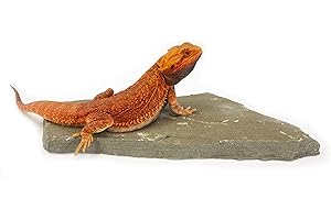 CAROLINACUSTOMCAGES Natural Habitat Basking Rocks for Reptiles, Blue Green, One Large Size, Carolina Custom Cages