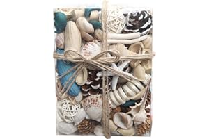 Qingbei Rina Potpourri with Shell, Potpourri Dried Flower,Bowl Filler, Vase Filler,Beach Coastal Sea Bathroom Decor,Gift Christmas, 20 oz, Blue and White