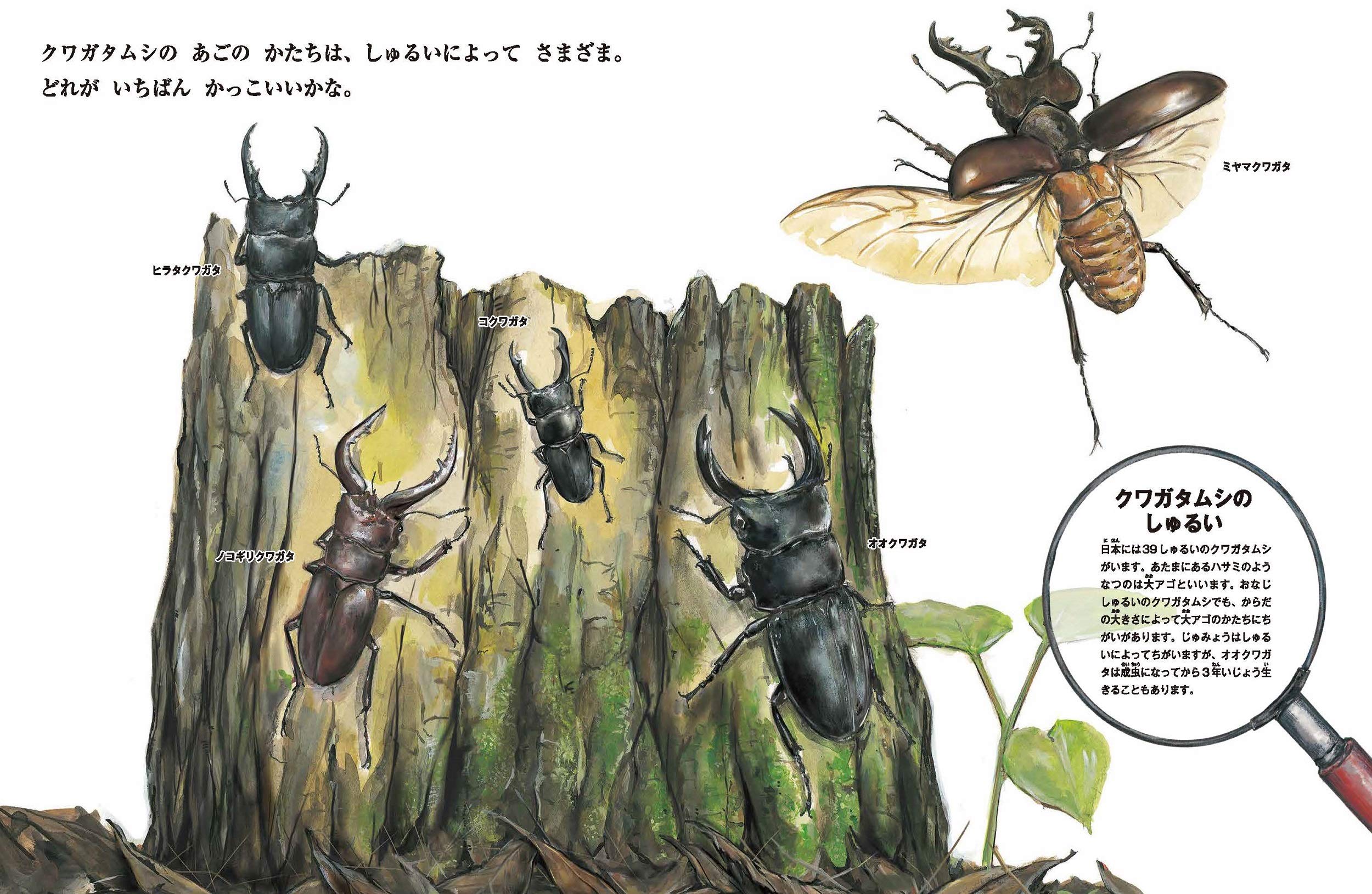 すごい虫ずかん ぞうきばやしを のぞいたら じゅえき太郎 須田 研司 本 通販 Amazon